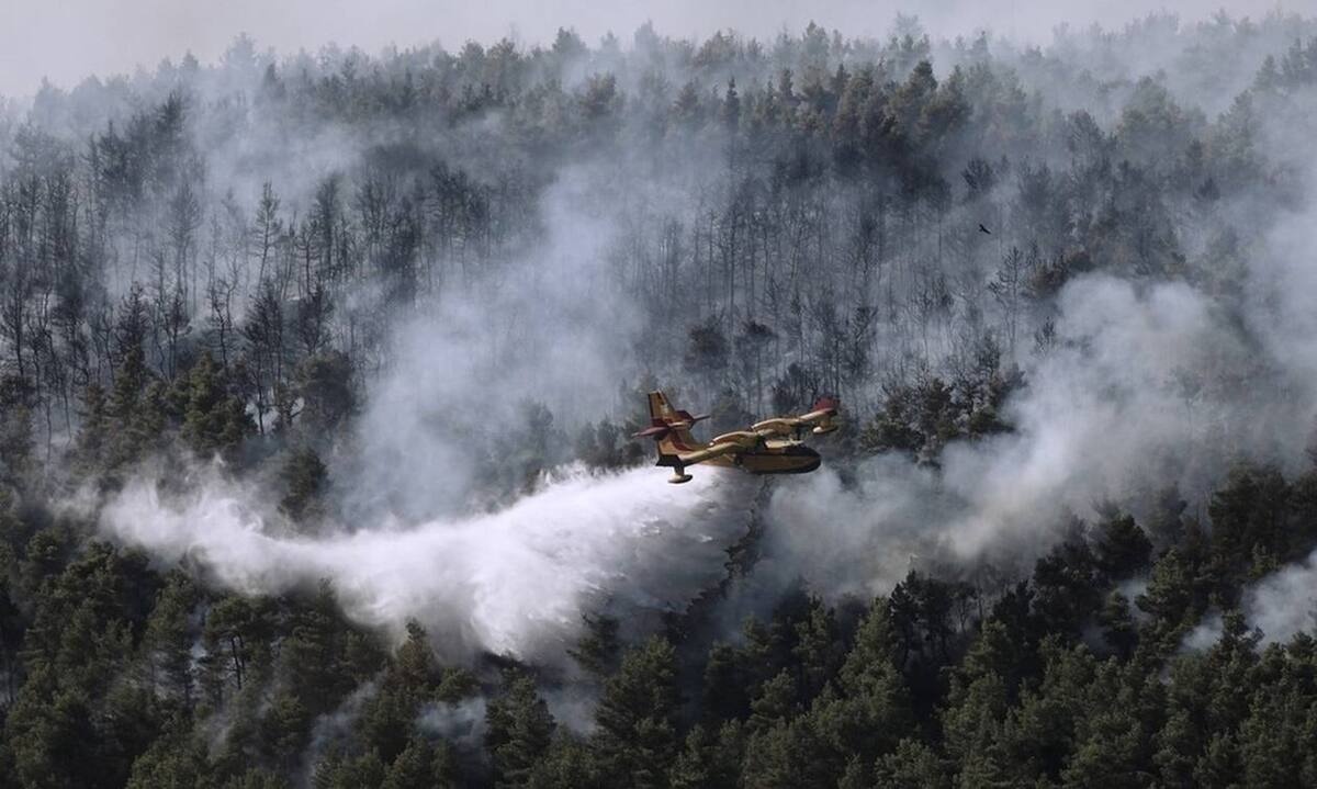 Βίλια: Τεράστιο μέτωπο φωτιάς στο Παλαιοχώρι - Επιχειρούν τα εναέρια μέσα