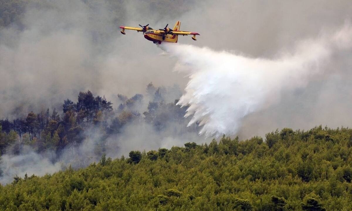 Φωτιά στα Βίλια: Προβληματισμός σε τέσσερα μέτωπα - Εκκενώνεται ο οικισμός Τιταν