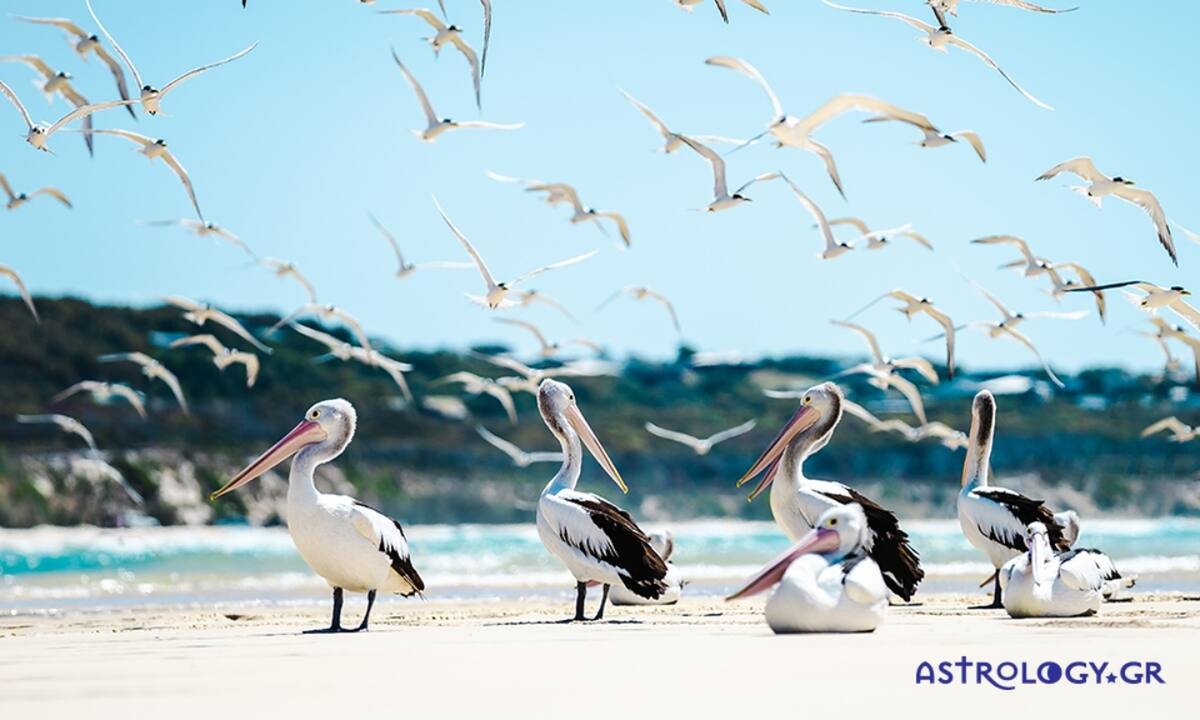 Διάβασε ΔΩΡΕΑΝ την προσωπική σου πρόβλεψη, για σήμερα 20/08/2021