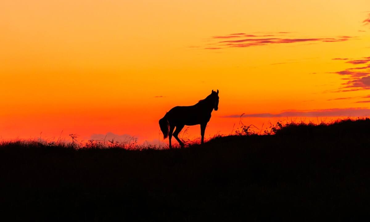 Διάβασε ΔΩΡΕΑΝ την προσωπική σου πρόβλεψη, για σήμερα 24/08/2021