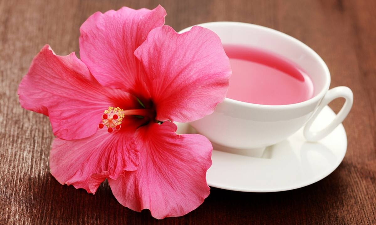 Αφέψημα ιβίσκου: Τα οφέλη του για την υγεία (video)