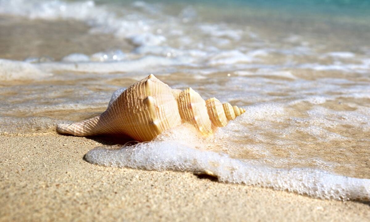 Διάβασε ΔΩΡΕΑΝ την προσωπική σου πρόβλεψη, για σήμερα 25/08/2021