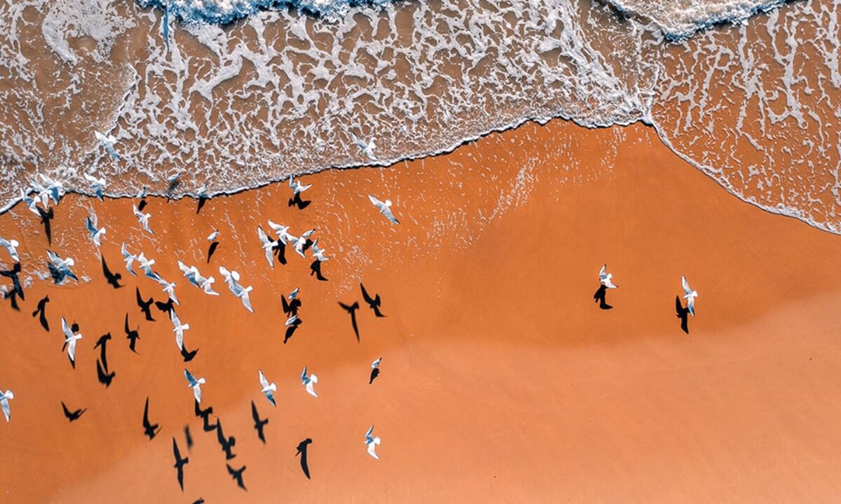 Διάβασε ΔΩΡΕΑΝ την προσωπική σου πρόβλεψη, για σήμερα 28/08/2021