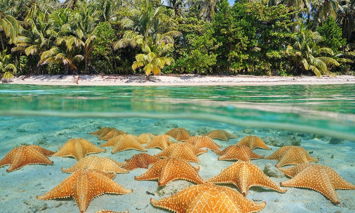 Διάβασε ΔΩΡΕΑΝ την προσωπική σου πρόβλεψη, για σήμερα 30/08/2021