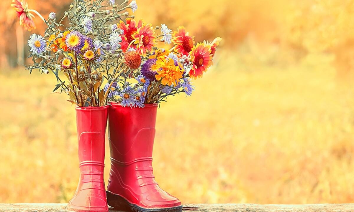 Ημερήσιες Προβλέψεις για όλα τα Ζώδια, 08/09