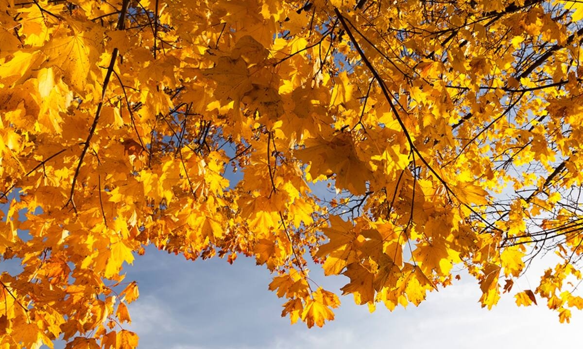 Διάβασε ΔΩΡΕΑΝ την προσωπική σου πρόβλεψη, για σήμερα 15/09/2021