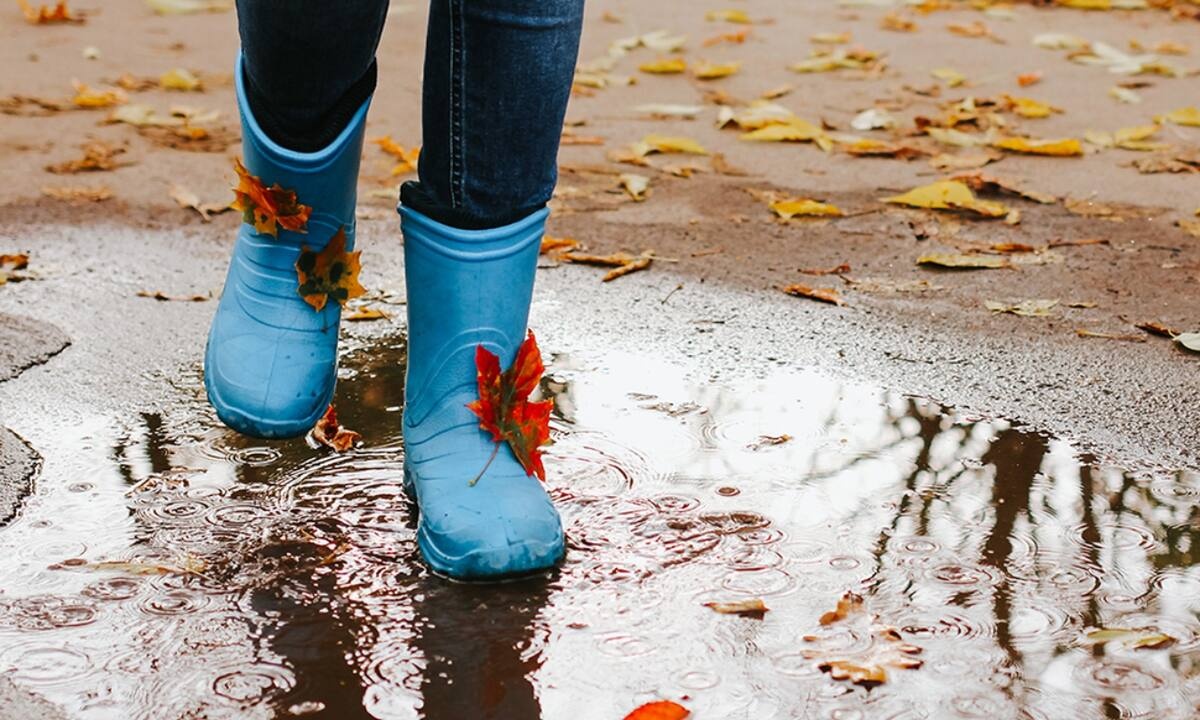 Ημερήσιες Προβλέψεις για όλα τα Ζώδια, 16/09