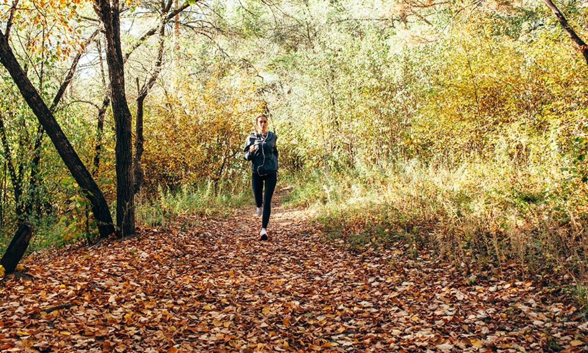 Ημερήσιες Προβλέψεις για όλα τα Ζώδια, 24/09