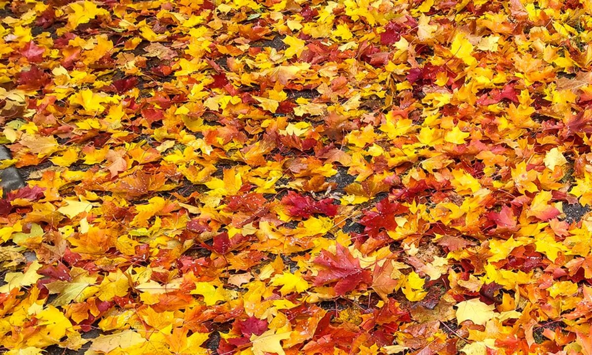 Διάβασε ΔΩΡΕΑΝ την προσωπική σου πρόβλεψη, για σήμερα 28/09/2021