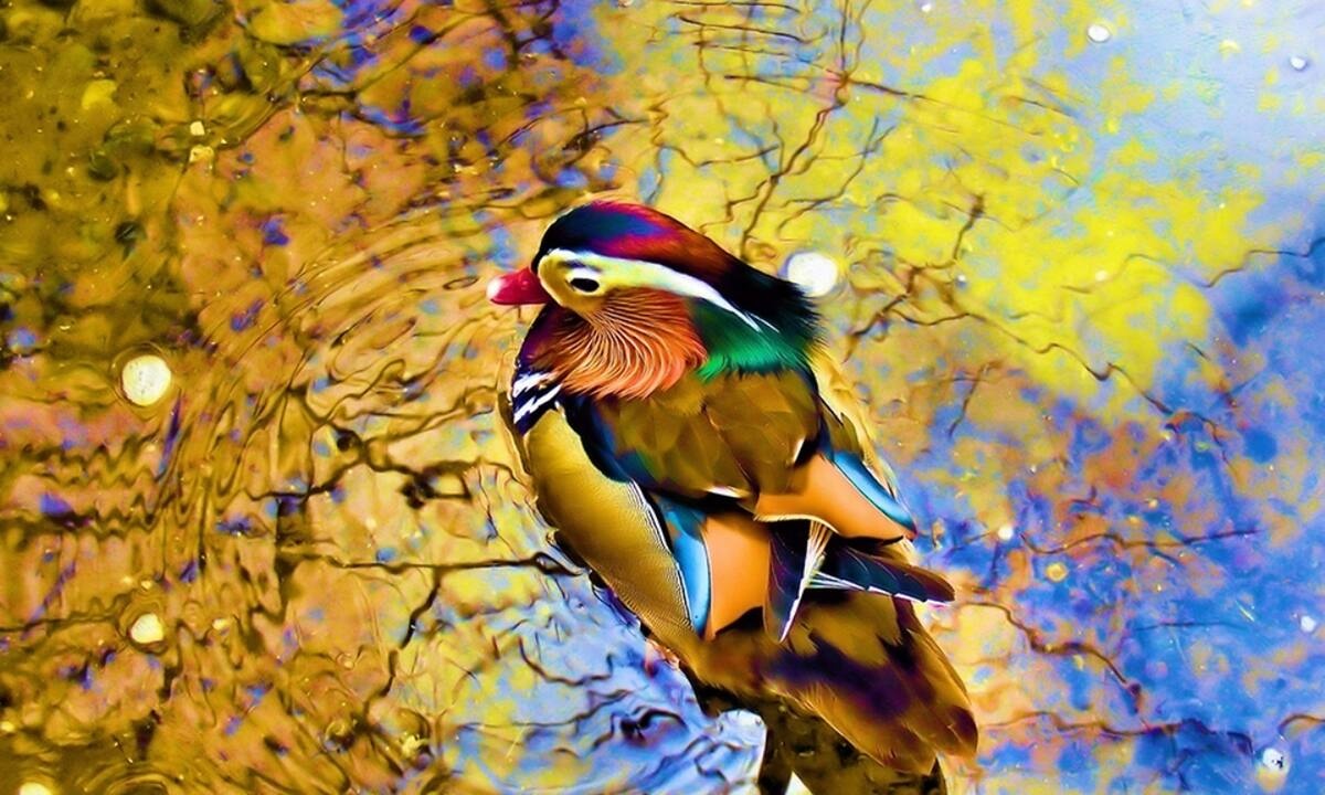 Διάβασε ΔΩΡΕΑΝ την προσωπική σου πρόβλεψη, για σήμερα 03/10/2021