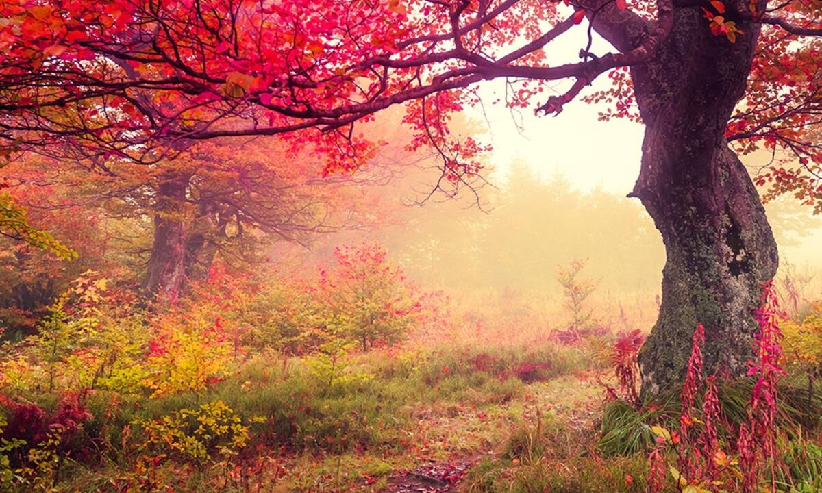 Διάβασε ΔΩΡΕΑΝ την προσωπική σου πρόβλεψη, για σήμερα 08/10/2021