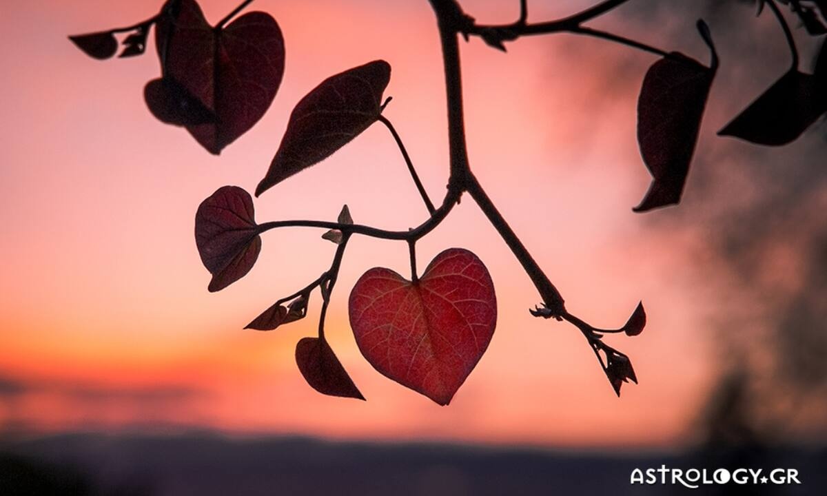 Προβλέψεις για τα αισθηματικά του ζωδίου σου, σήμερα 22/10