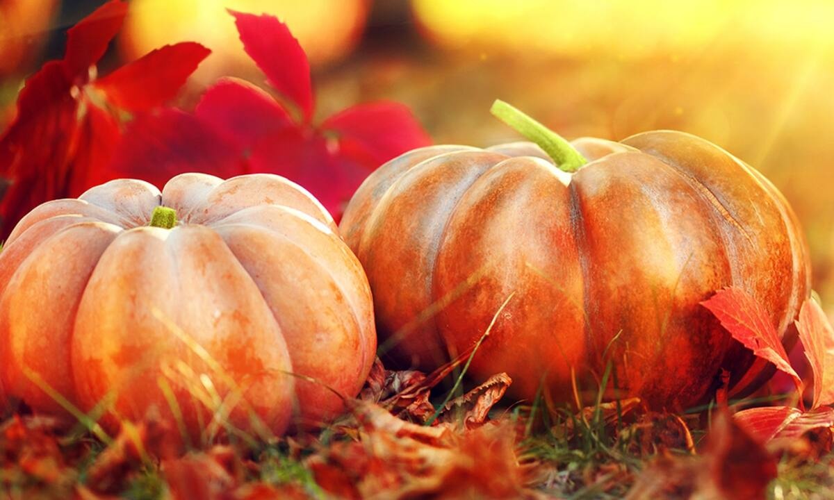 Ημερήσιες Προβλέψεις για όλα τα Ζώδια, 31/10