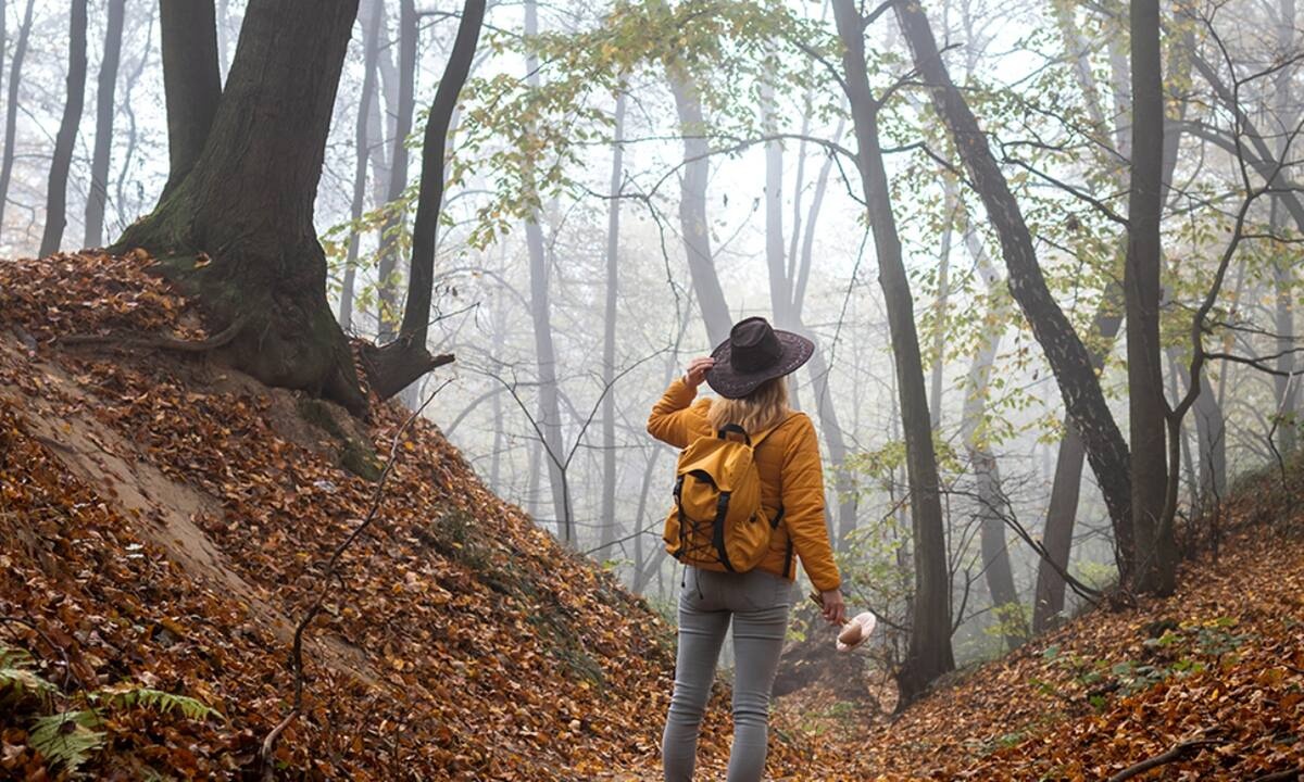 Ημερήσιες Προβλέψεις για όλα τα Ζώδια, 01/11