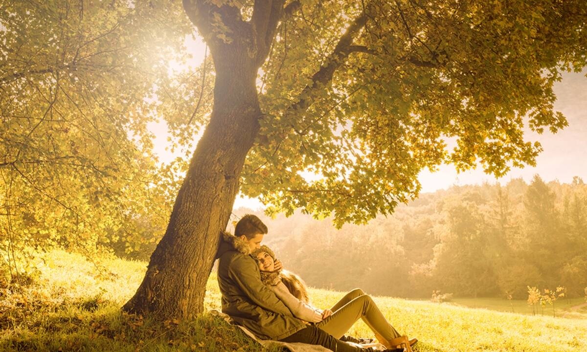 Προβλέψεις για τα αισθηματικά του ζωδίου σου, σήμερα 01/11