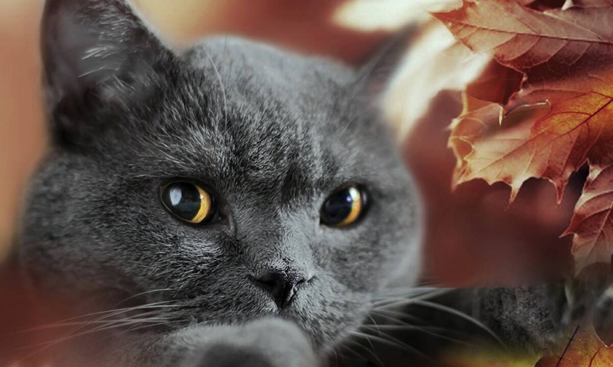 Διάβασε ΔΩΡΕΑΝ την προσωπική σου πρόβλεψη, για σήμερα 01/11/2021