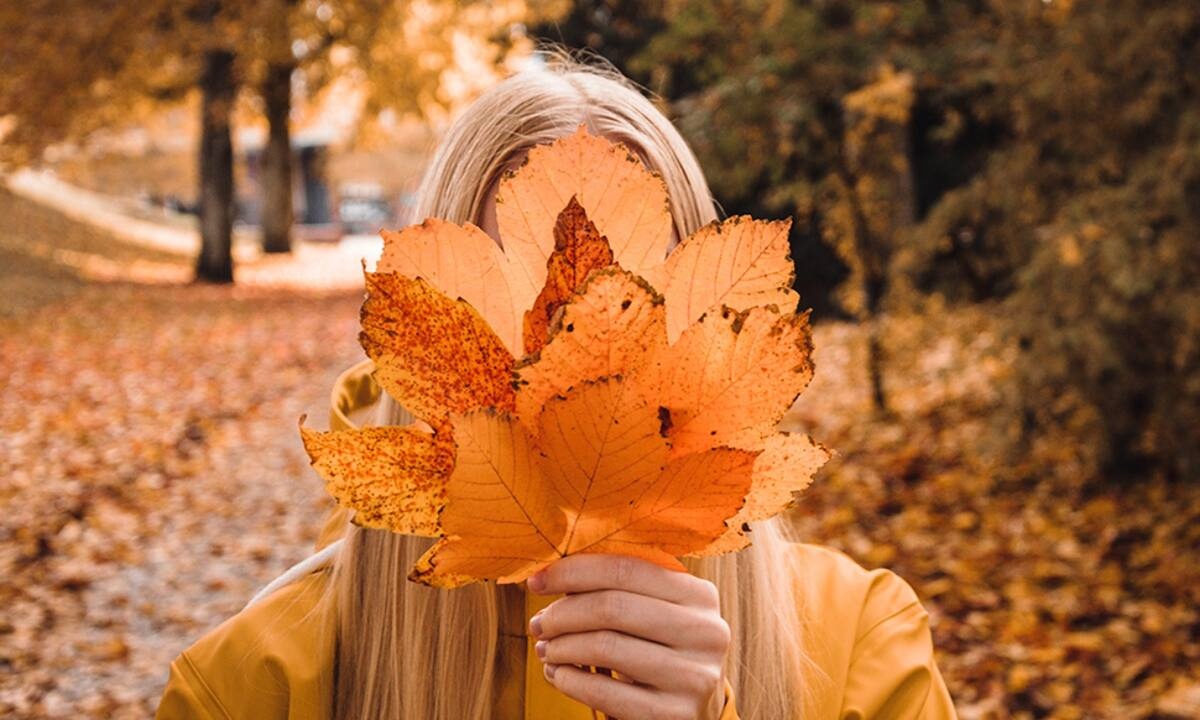 Ημερήσιες Προβλέψεις για όλα τα Ζώδια, 04/11
