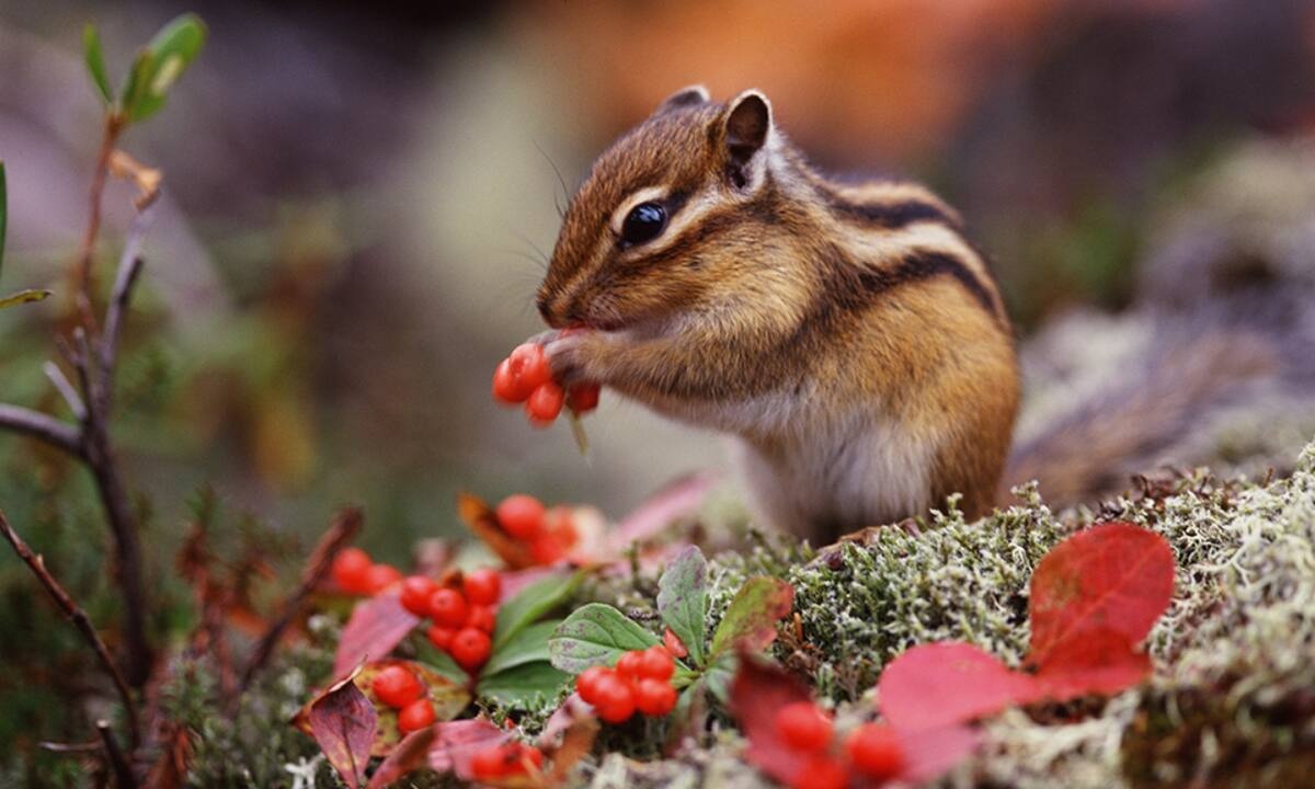 Διάβασε ΔΩΡΕΑΝ την προσωπική σου πρόβλεψη, για σήμερα 03/11/2021