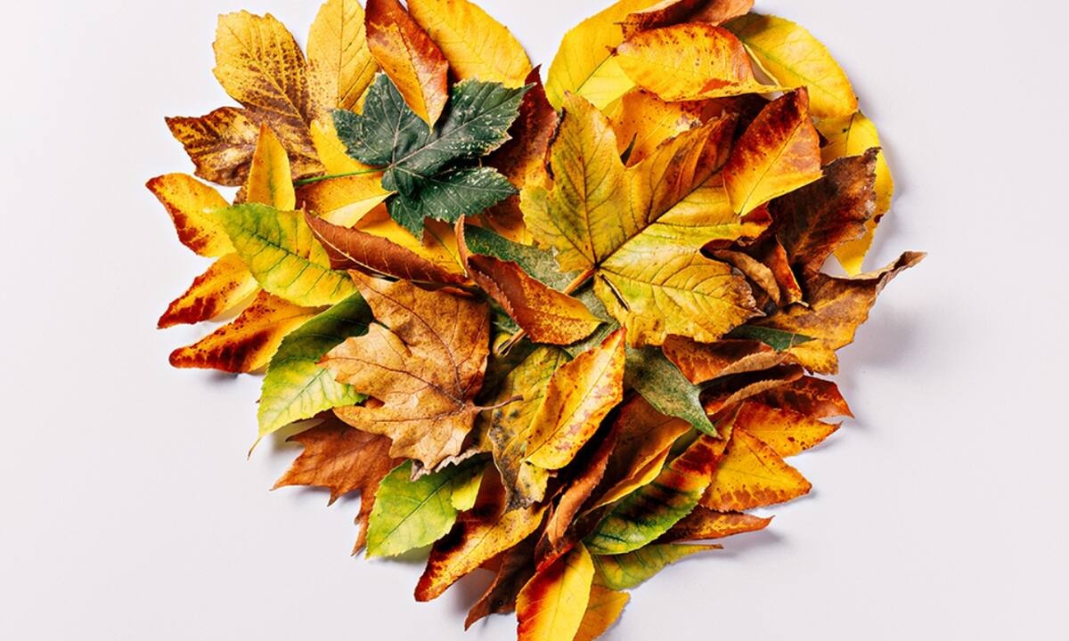 Προβλέψεις για τα αισθηματικά του ζωδίου σου, σήμερα 04/11