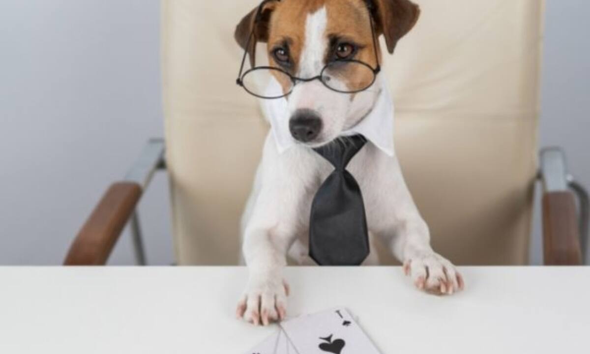 4 ζώδια που δε συμβαδίζουν με τους κανόνες και 2 που δεν ξεφεύγουν ούτε πόντο