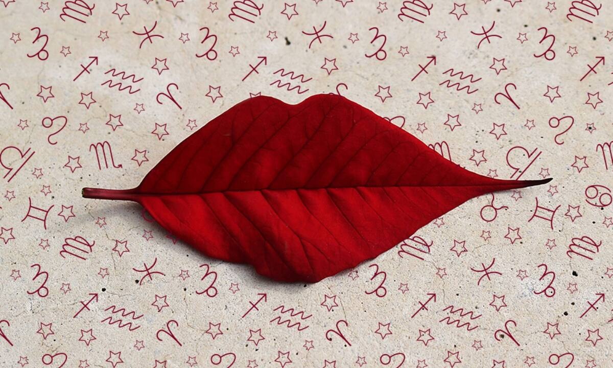 Εβδομαδιαίες προβλέψεις από 07/11 έως 13/11: Επί ποδός πολέμου