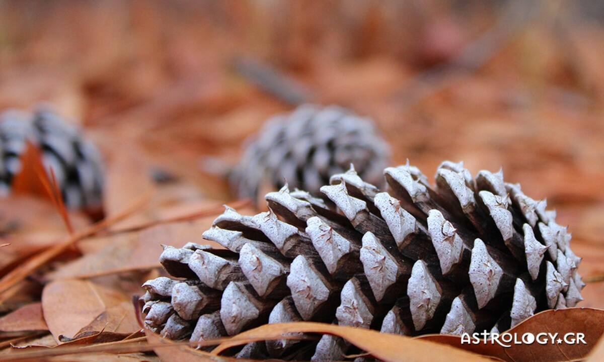 Διάβασε ΔΩΡΕΑΝ την προσωπική σου πρόβλεψη, για σήμερα 08/11/2021