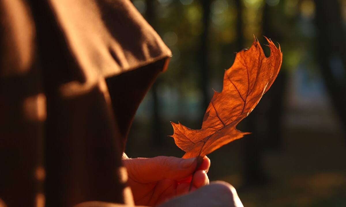 Ημερήσιες Προβλέψεις για όλα τα Ζώδια, 12/11