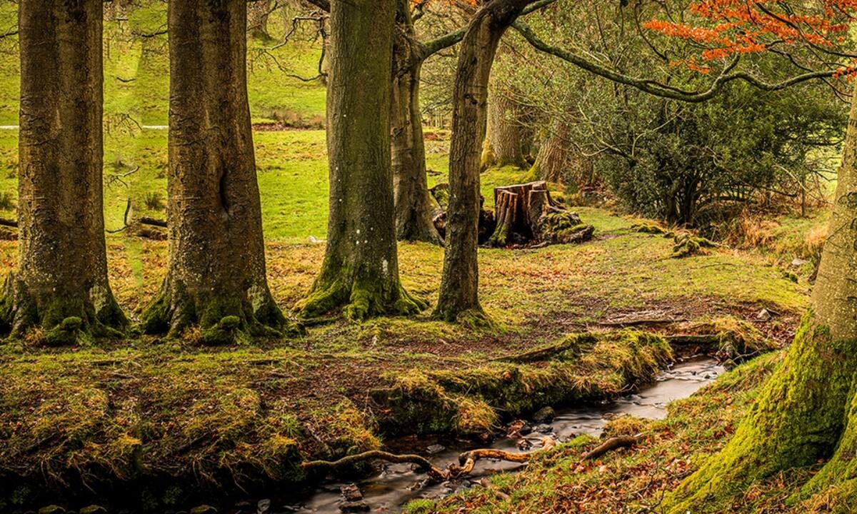 Διάβασε ΔΩΡΕΑΝ την προσωπική σου πρόβλεψη, για σήμερα 12/11/2021