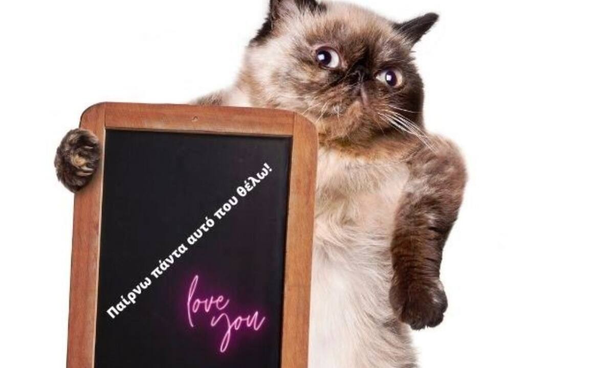 Τα 4 πιο καπάτσα ζώδια