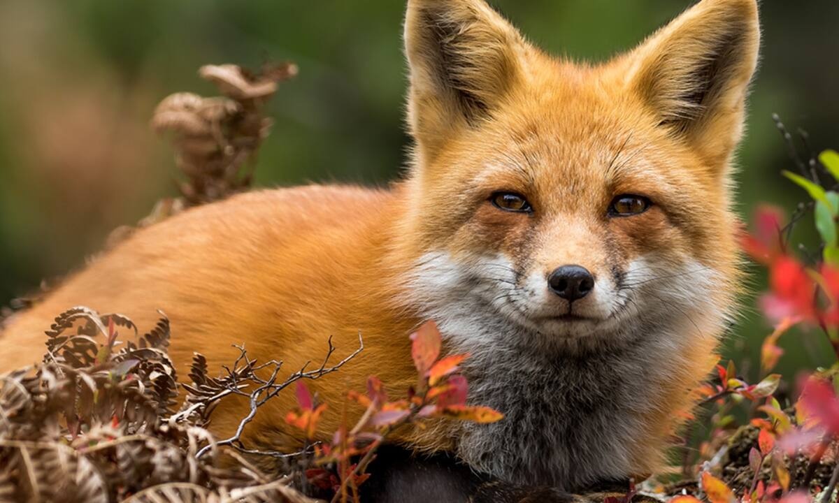 Διάβασε ΔΩΡΕΑΝ την προσωπική σου πρόβλεψη, για σήμερα 15/11/2021