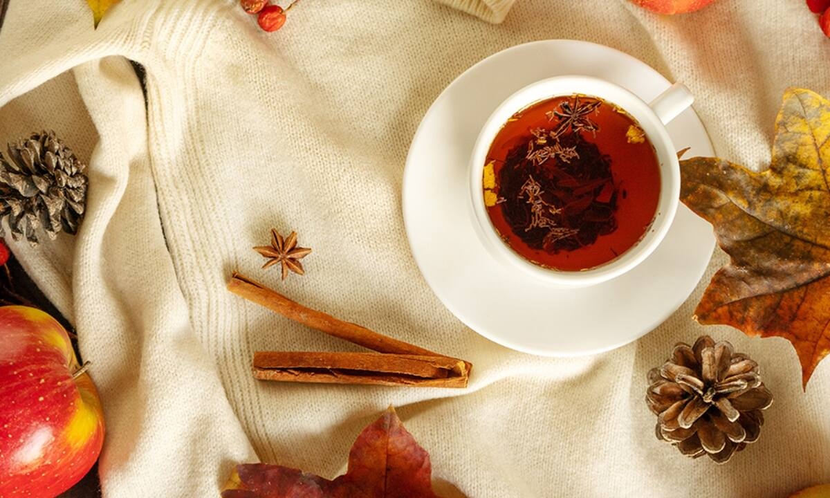 Ημερήσιες Προβλέψεις για όλα τα Ζώδια, 20/11