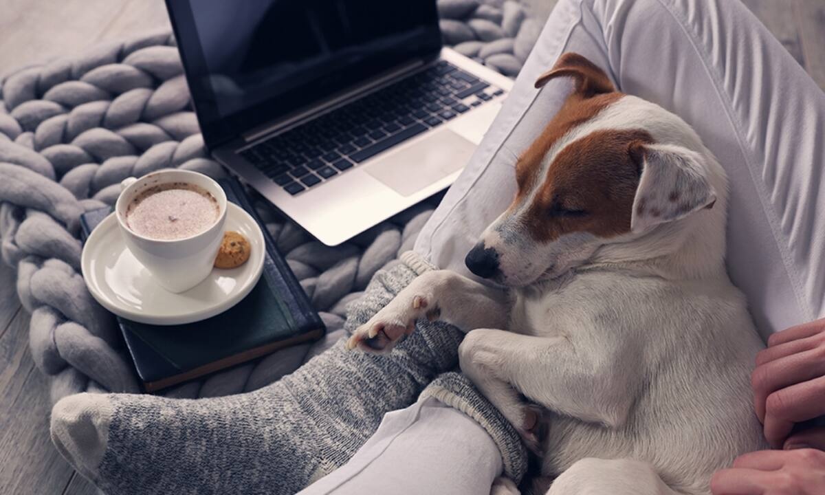 Ημερήσιες Προβλέψεις για όλα τα Ζώδια, 23/11