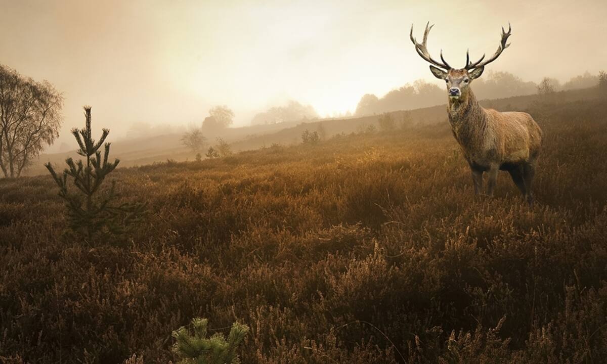 Διάβασε ΔΩΡΕΑΝ την προσωπική σου πρόβλεψη, για σήμερα 25/11/2021