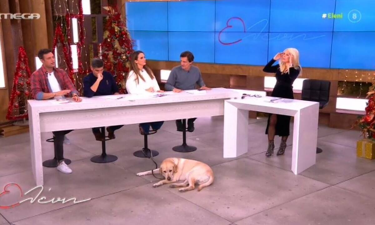 Ελένη Μενεγάκη: Συνεργάτιδά της στο νοσοκομείο – Τι της συνέβη; (Video)