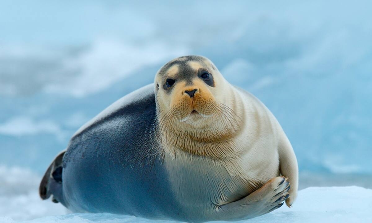 Διάβασε ΔΩΡΕΑΝ την προσωπική σου πρόβλεψη, για σήμερα 02/12/2021