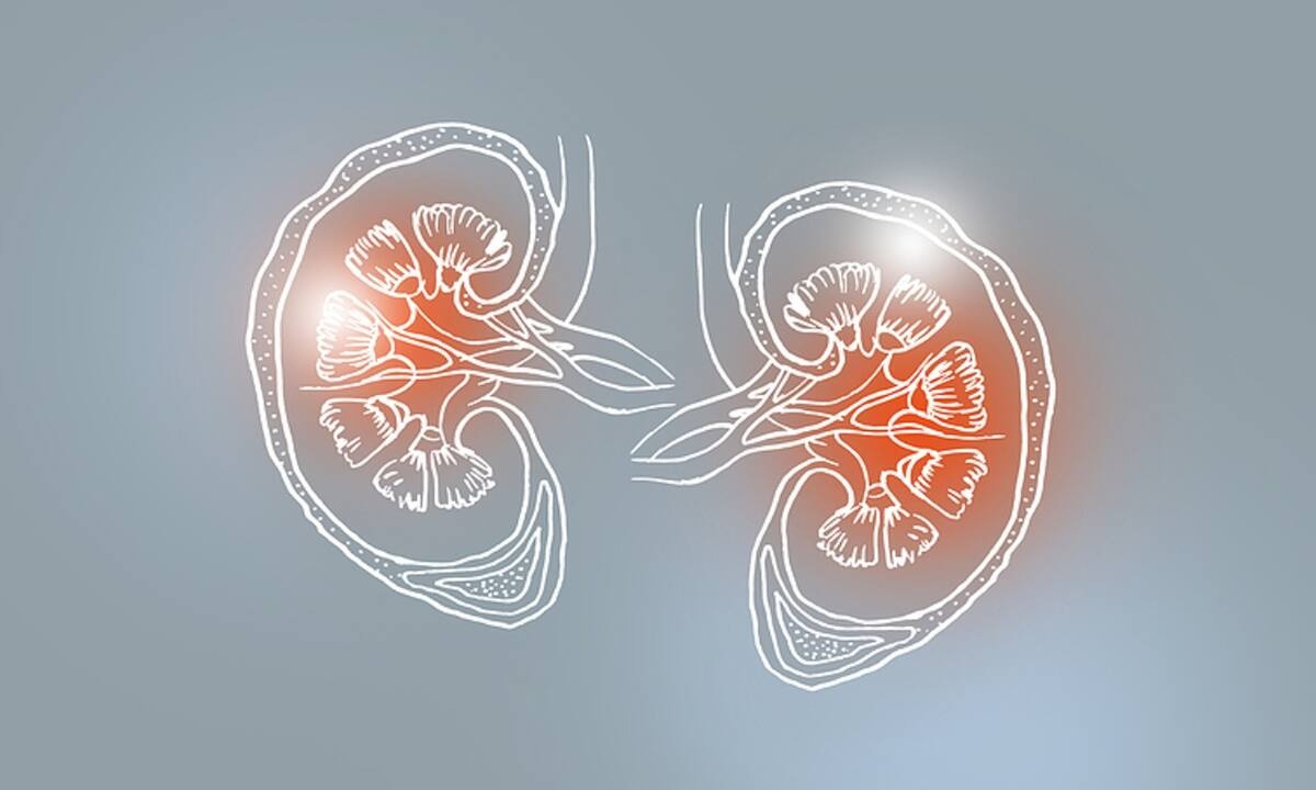 Αποτοξίνωση: Ο χυμός που μειώνει τη φλεγμονή στα νεφρά (video)