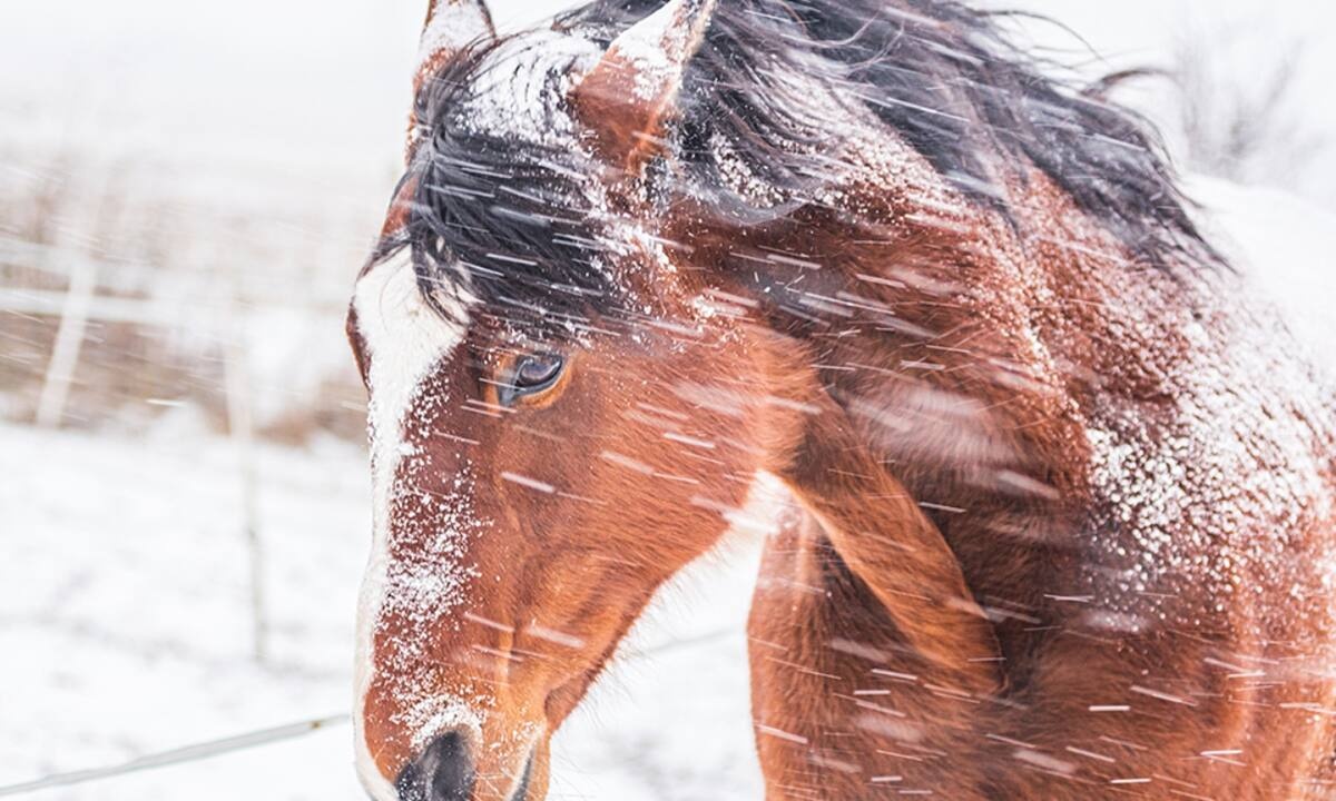 Διάβασε ΔΩΡΕΑΝ την προσωπική σου πρόβλεψη, για σήμερα 10/12/2021
