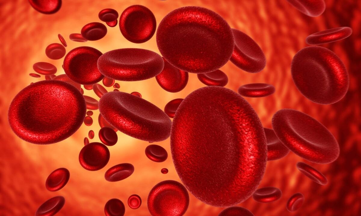 Σιδηροπενική αναιμία: Αναγνωρίστε τη από τα συμπτώματα (εικόνες)