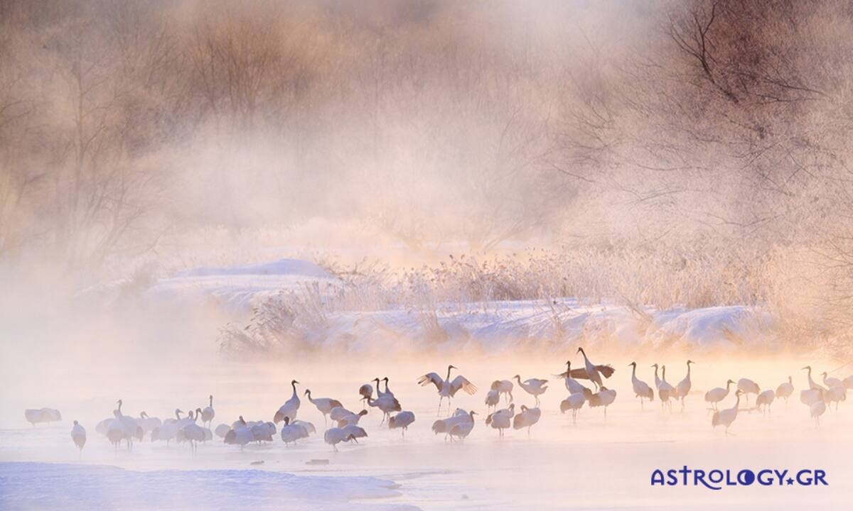 Διάβασε ΔΩΡΕΑΝ την προσωπική σου πρόβλεψη, για σήμερα 22/12/2021