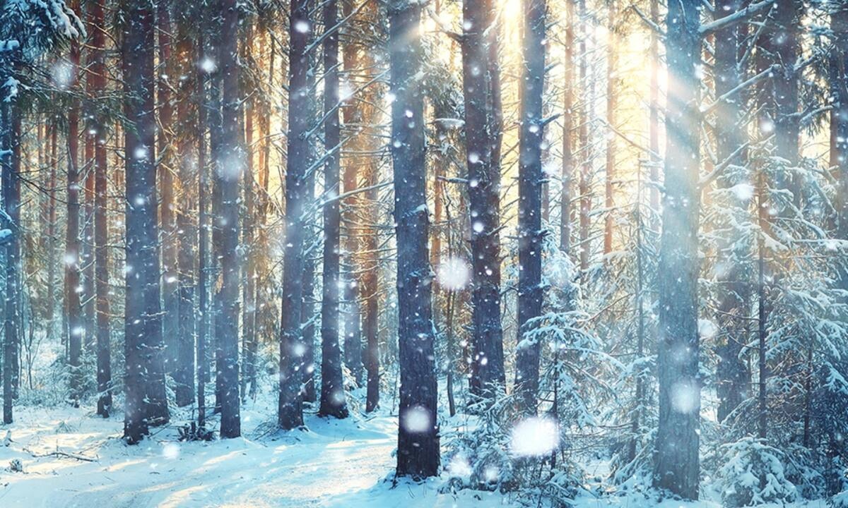 Διάβασε ΔΩΡΕΑΝ την προσωπική σου πρόβλεψη, για σήμερα 25/12/2021