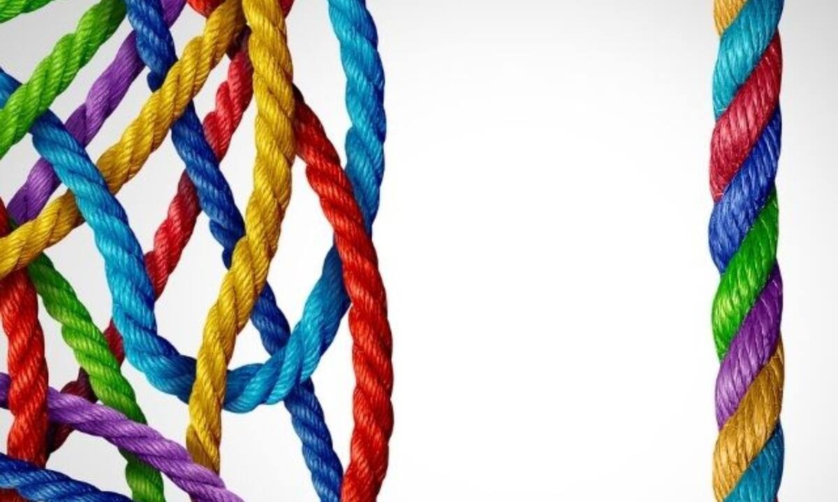 Τα δύο πιο οργανωμένα και τα δύο πιο «χύμα» ζώδια