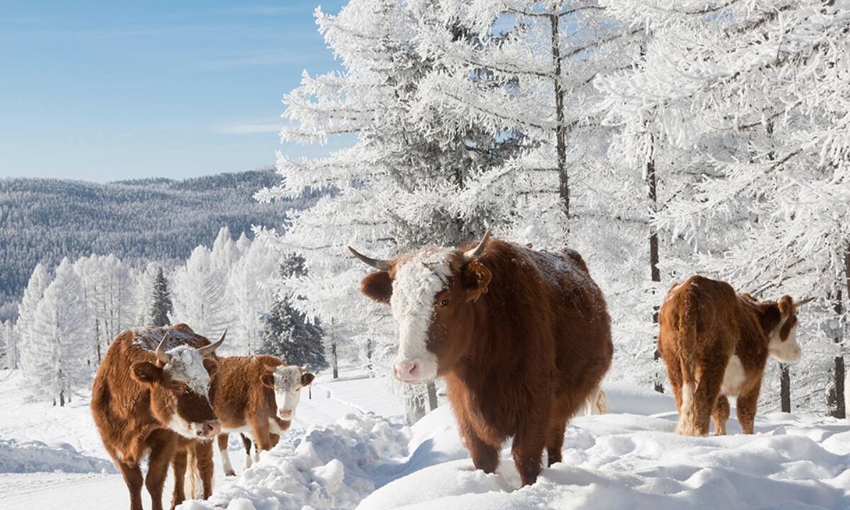 Διάβασε ΔΩΡΕΑΝ την προσωπική σου πρόβλεψη, για σήμερα 07/01/2022