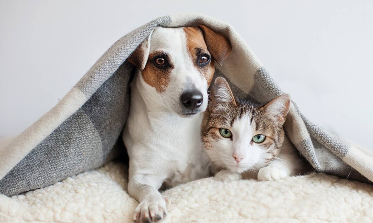 Διάβασε ΔΩΡΕΑΝ την προσωπική σου πρόβλεψη, για σήμερα 11/01/2022