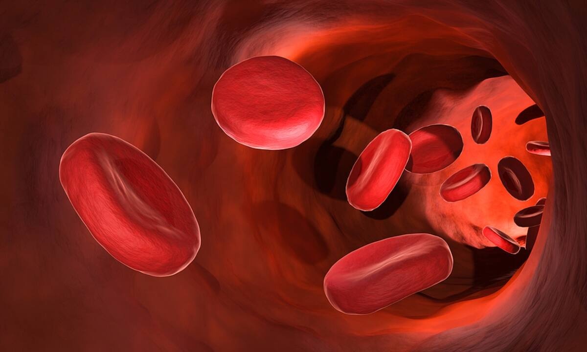 11 τροφές που καθαρίζουν το αίμα (video)