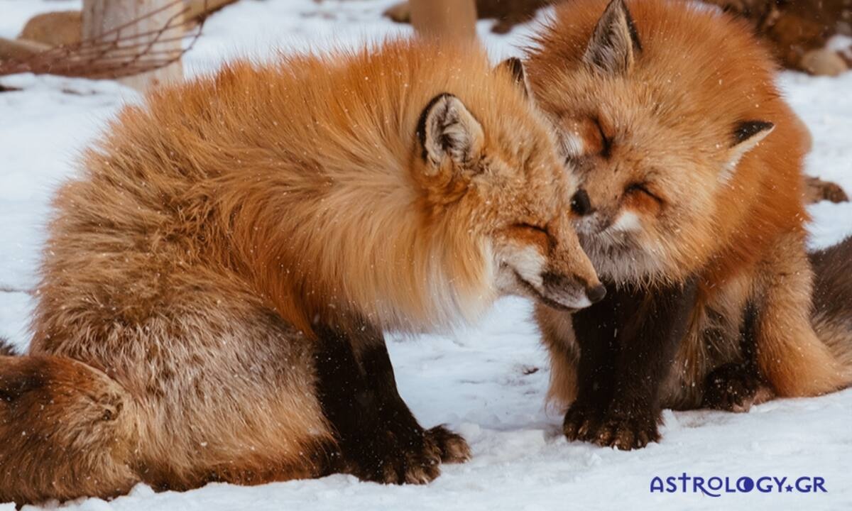 Διάβασε ΔΩΡΕΑΝ την προσωπική σου πρόβλεψη, για σήμερα 13/01/2022