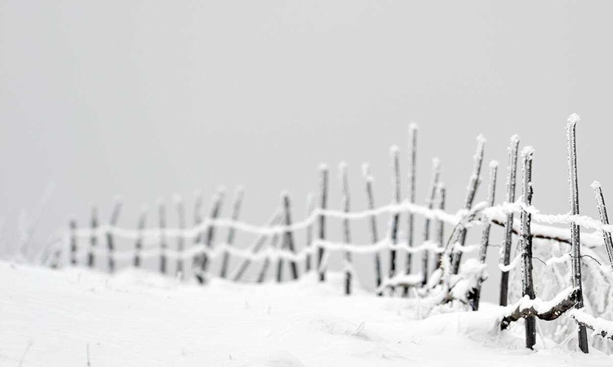 Διάβασε ΔΩΡΕΑΝ την προσωπική σου πρόβλεψη, για σήμερα 14/01/2022