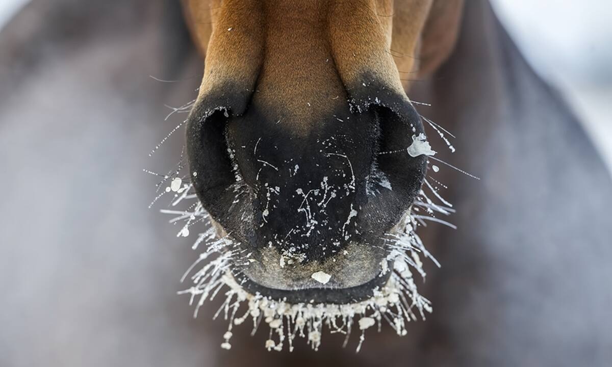 Διάβασε ΔΩΡΕΑΝ την προσωπική σου πρόβλεψη, για σήμερα 21/01/2022