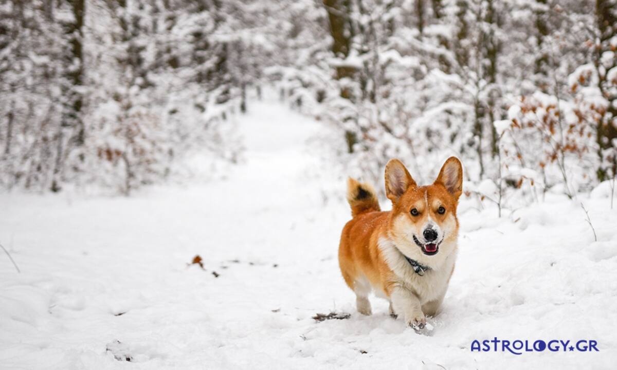 Διάβασε ΔΩΡΕΑΝ την προσωπική σου πρόβλεψη, για σήμερα 23/01/2022