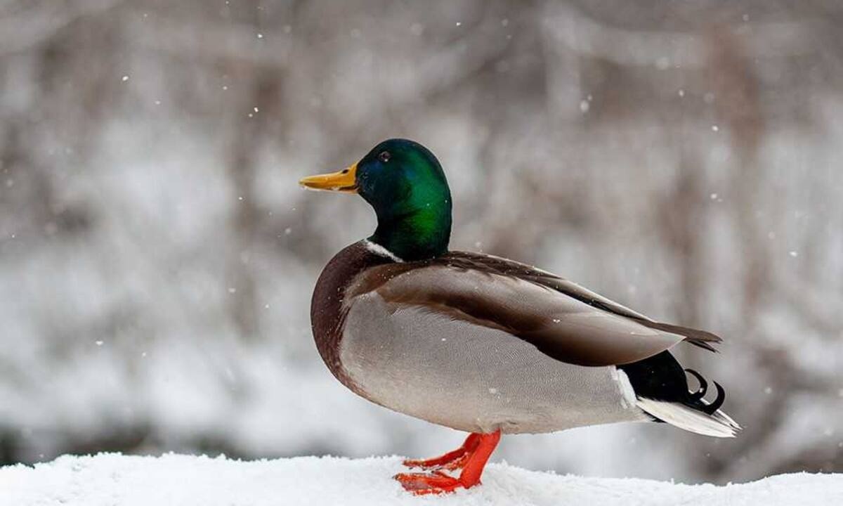 Διάβασε ΔΩΡΕΑΝ την προσωπική σου πρόβλεψη, για σήμερα 31/01/2022