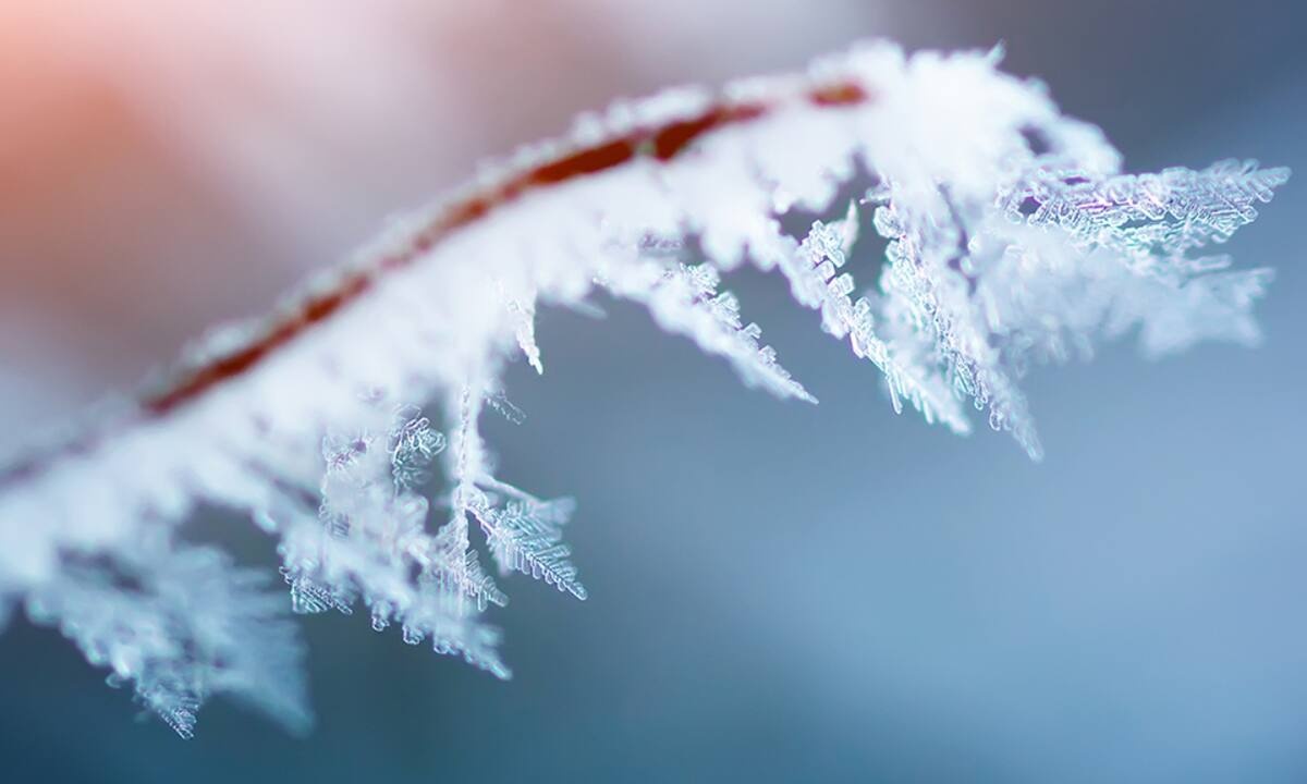 Διάβασε ΔΩΡΕΑΝ την προσωπική σου πρόβλεψη, για σήμερα 01/02/2022